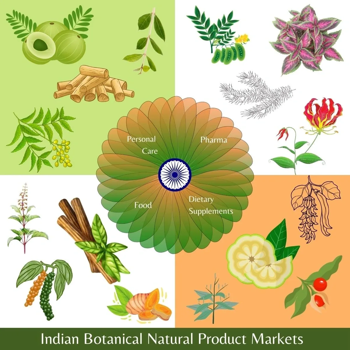 Indian Botanical Natural Product Markets