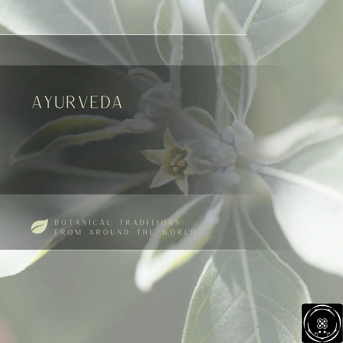 Ayurveda
