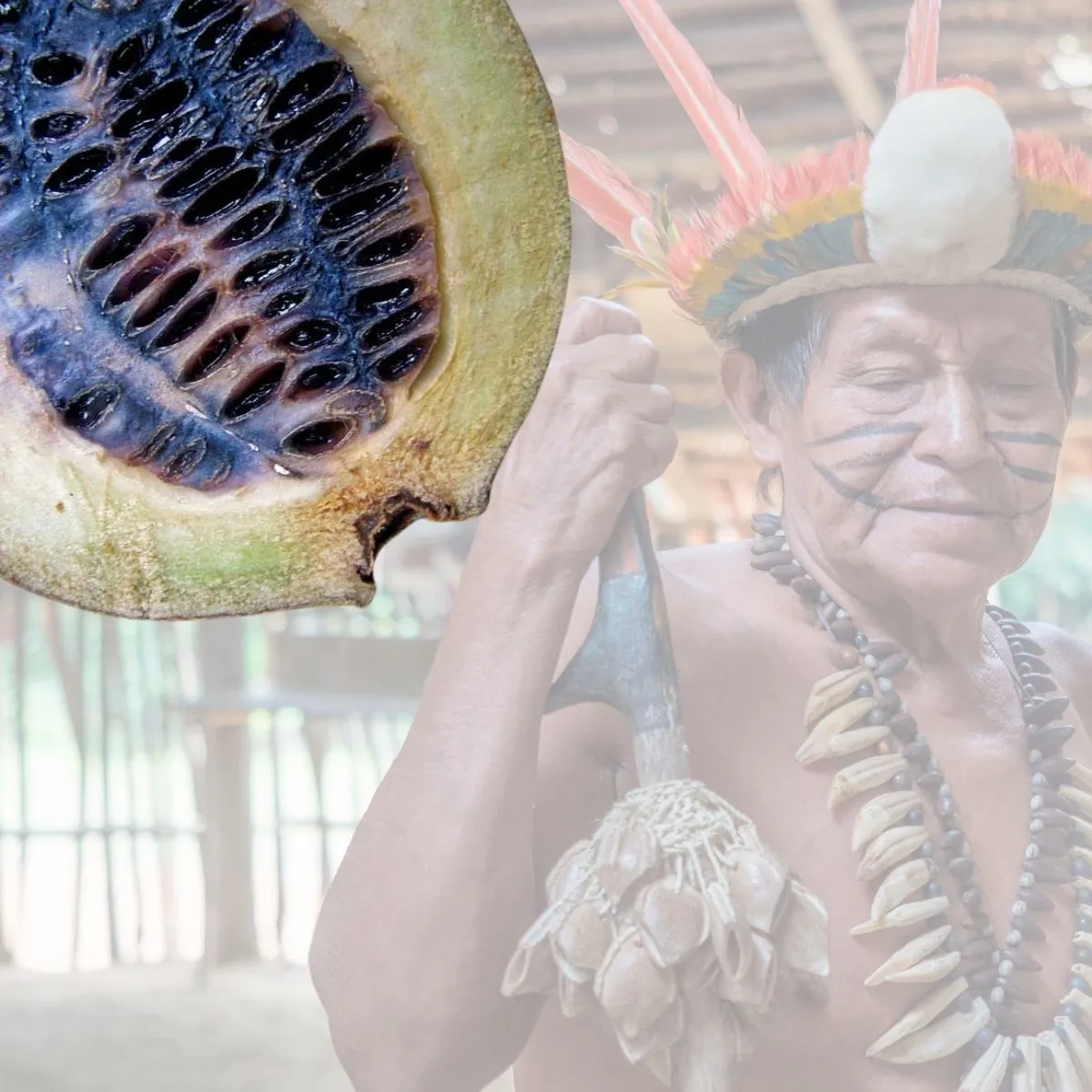 Can a Tattoo Save The Rainforest?
