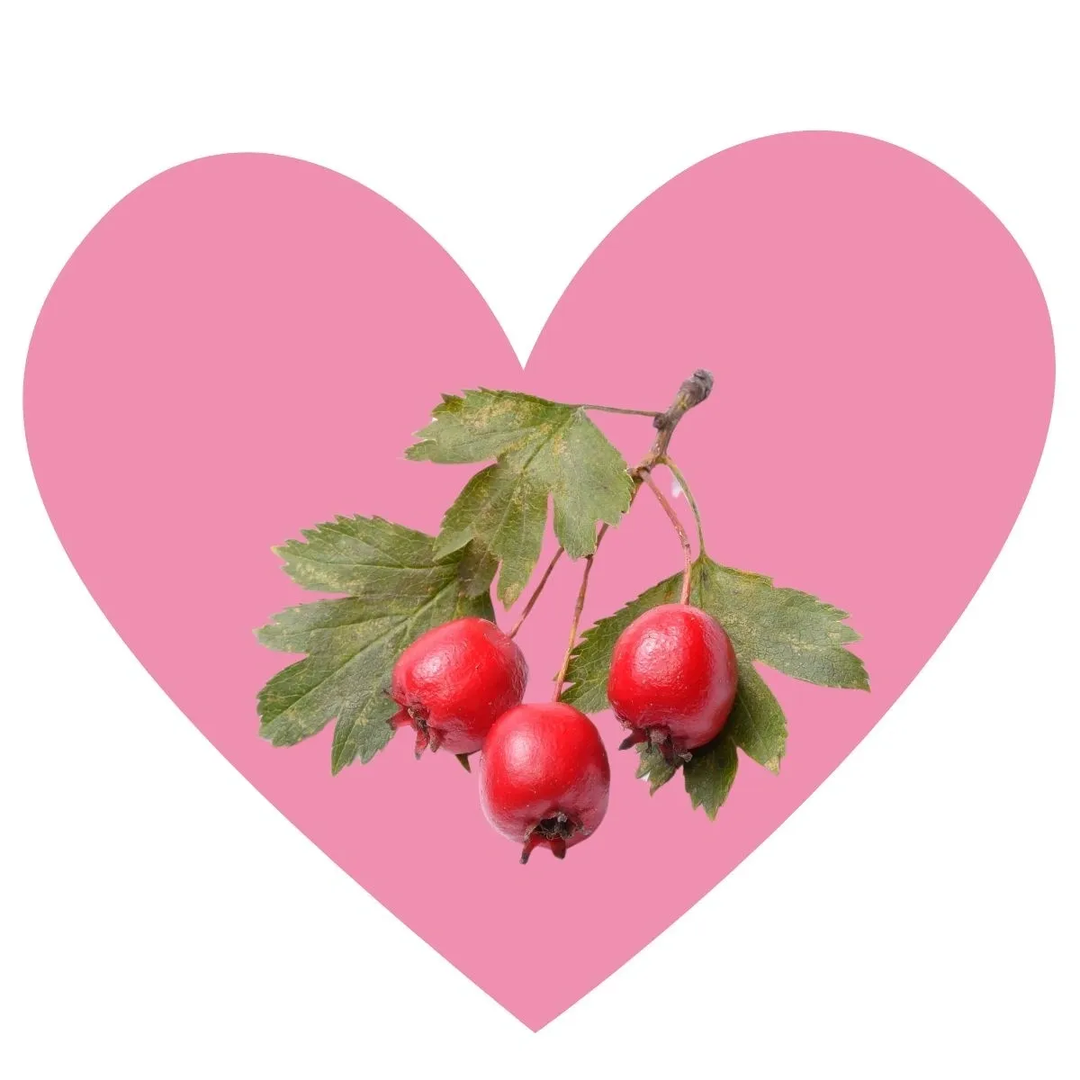 Heart Health Hedgerow