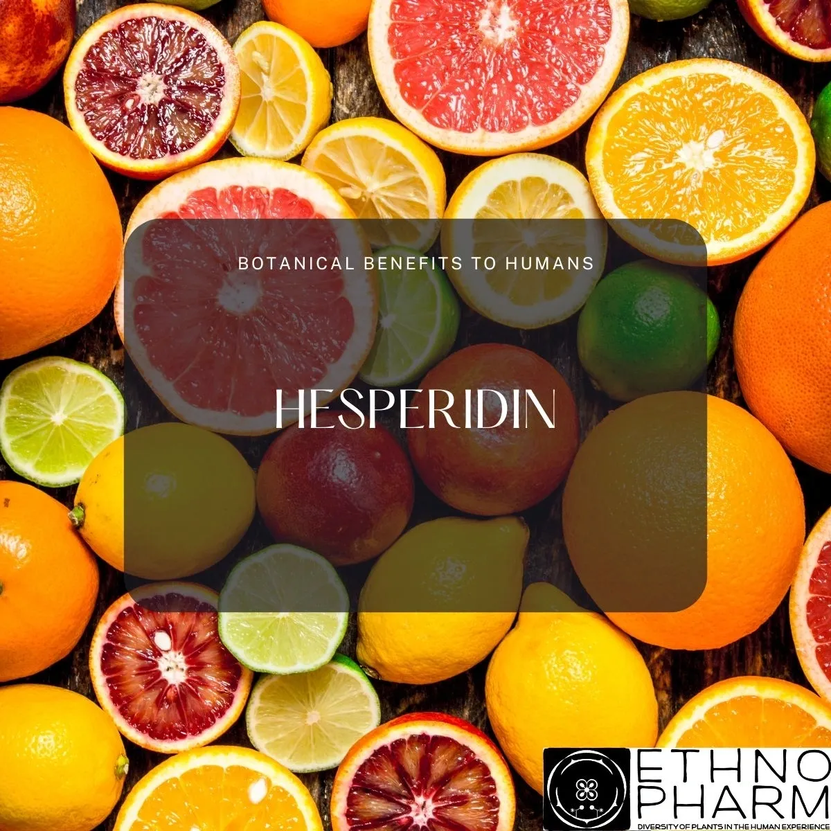 Hesperidin-Important Bioactive From Plants!
