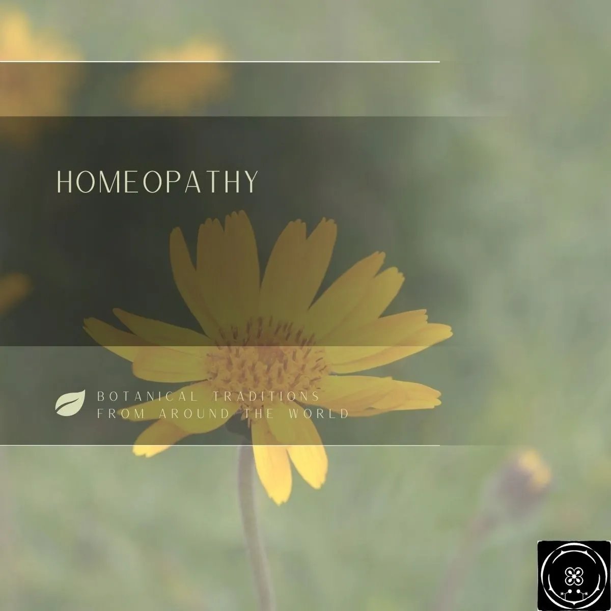 Homeopathy