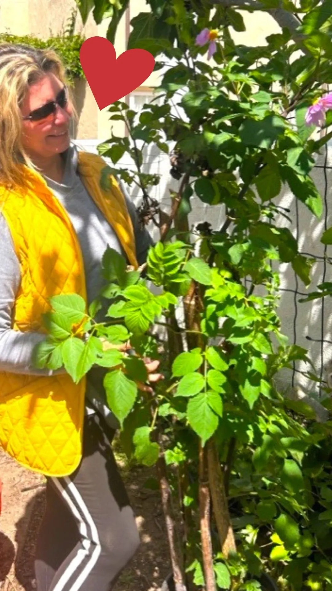I love the power of a plant cutting!