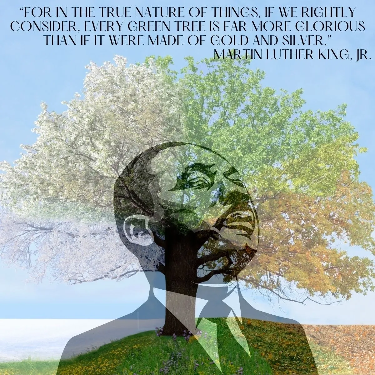 In Observance of MLK...