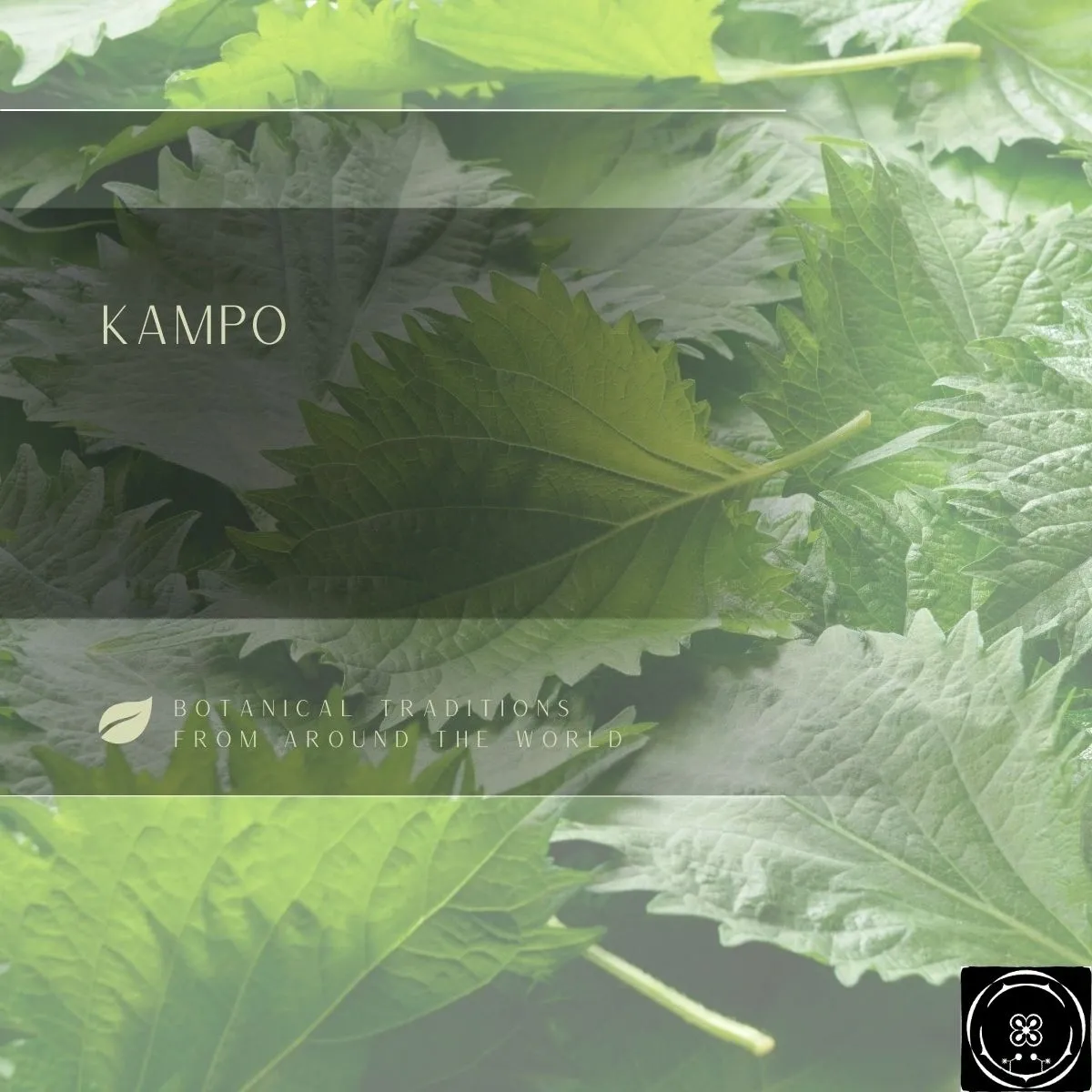 Kampo (Japanese Traditional Medicine)