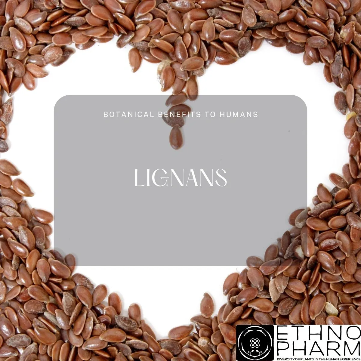 Lignans-Important Bioactives From Plants!