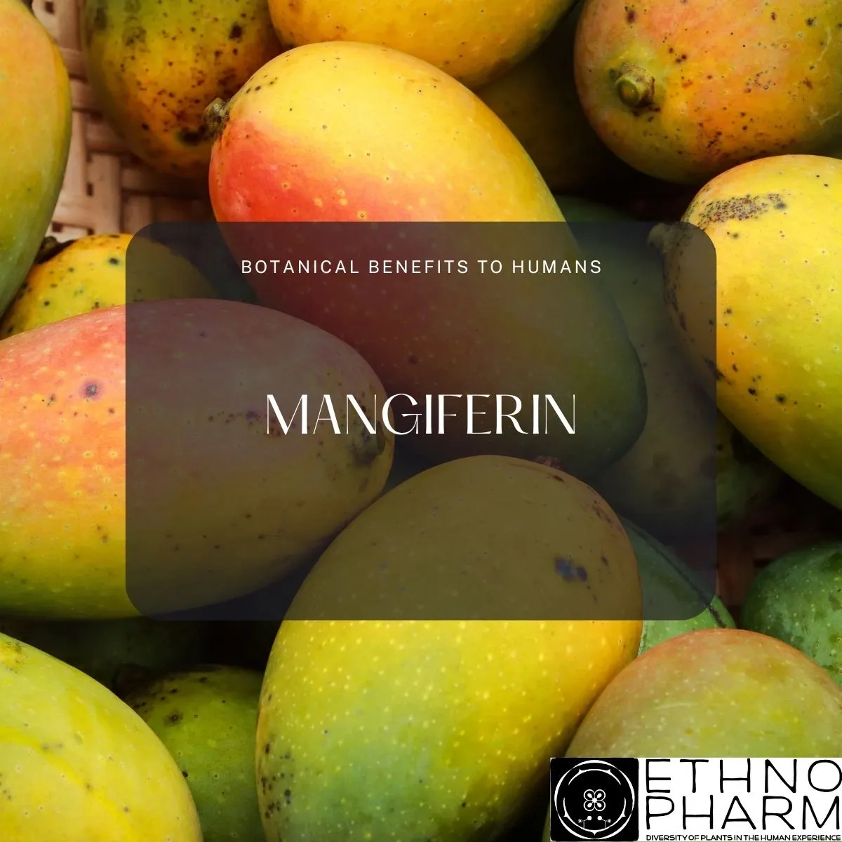 Mangiferin-Important Bioactive from Plants