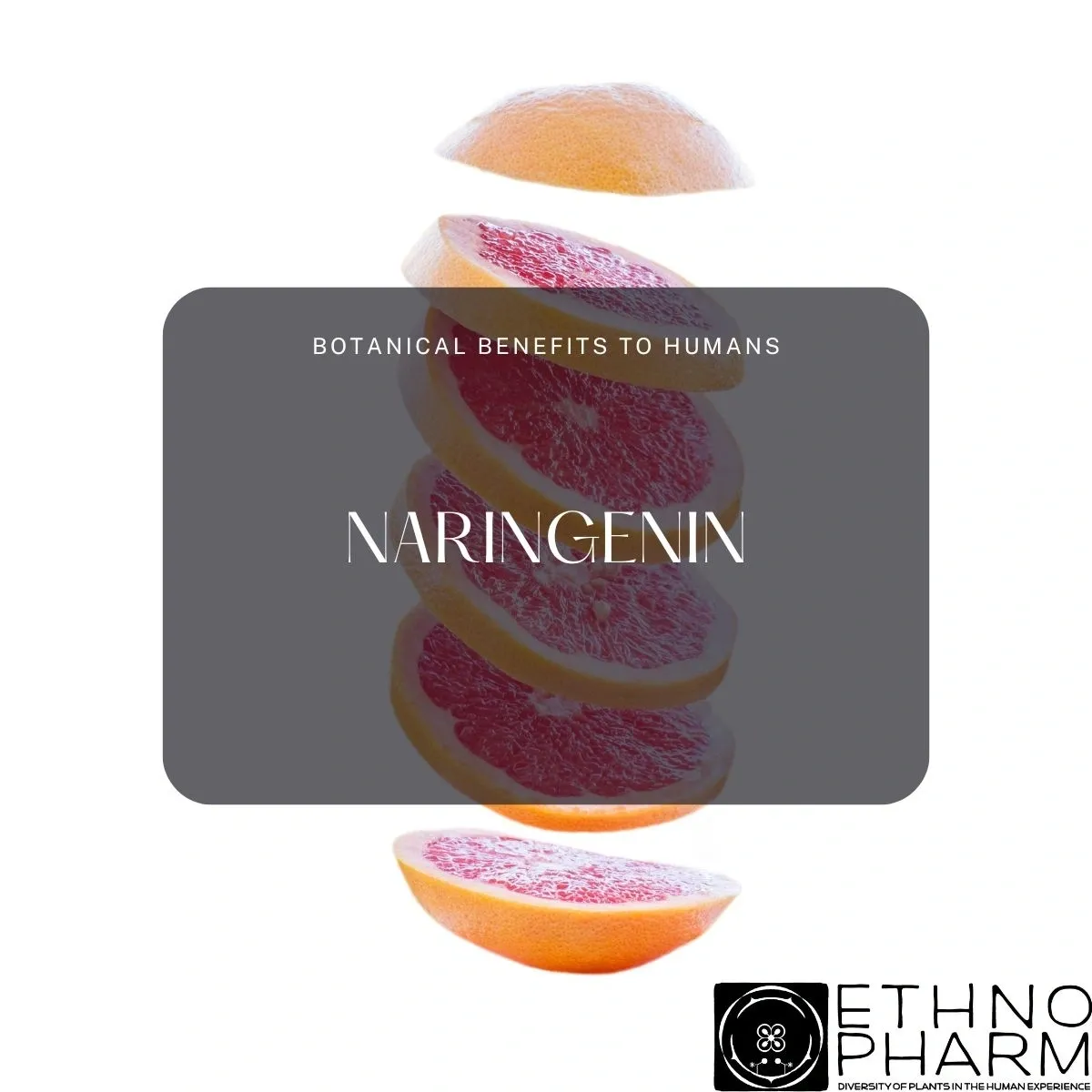 Naringenin-Important Bioactive From Plants!