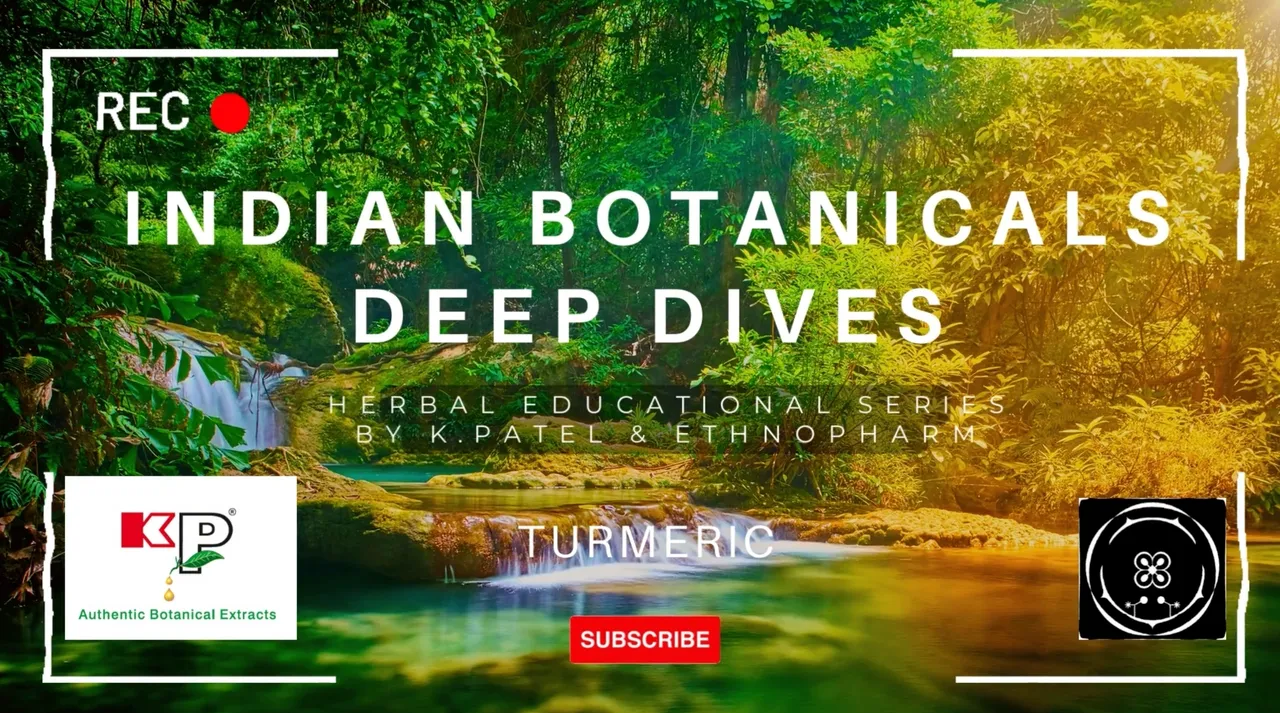 New Videos Out- Turmeric!