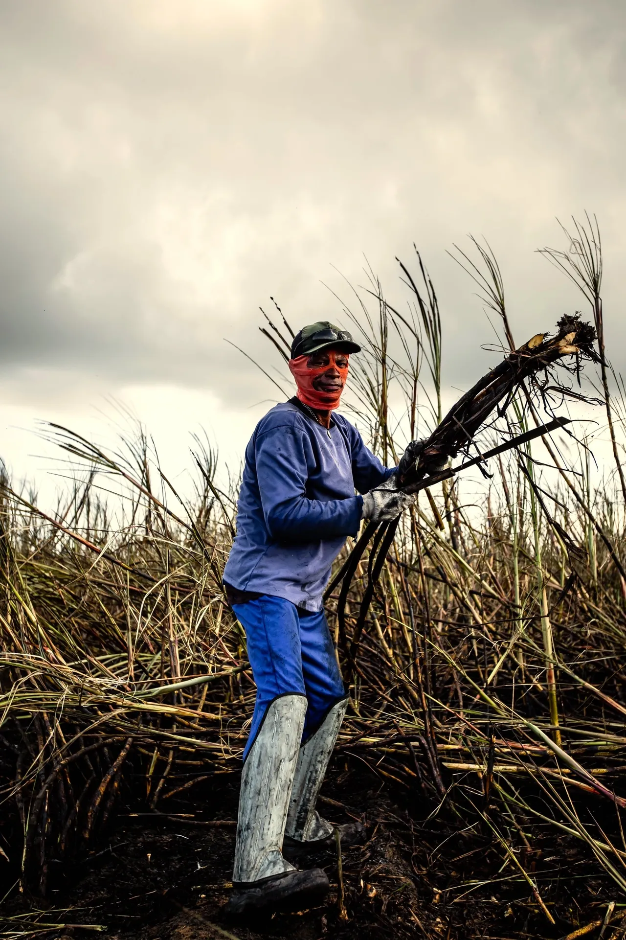 Sadly, The World’s Largest Crop.