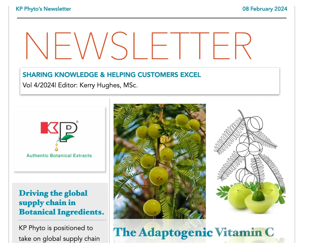 Hot off the Press: The Adaptogenic Vitamin C- Amla Newsletter