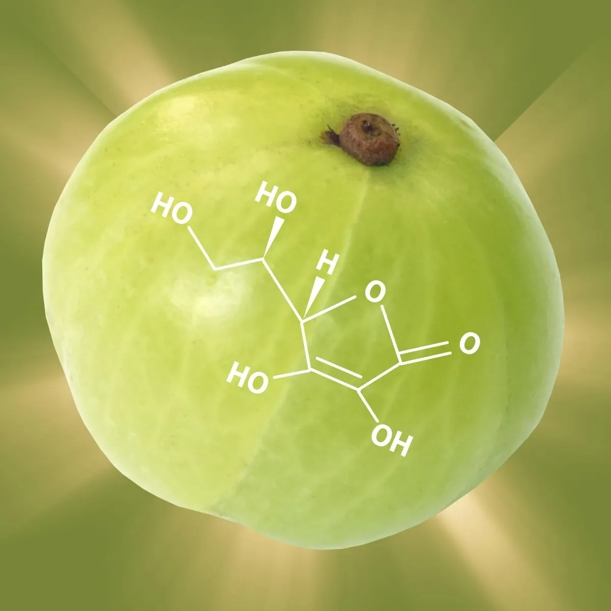 The Adaptogenic Vitamin C
