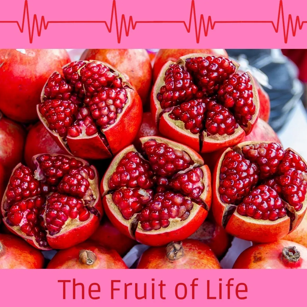 The Fruit of Life