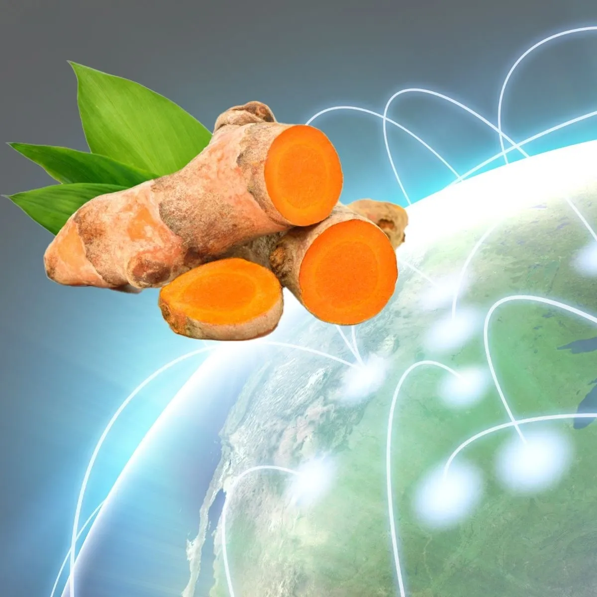 The Importance of Traceability Post Series: Reflections on India