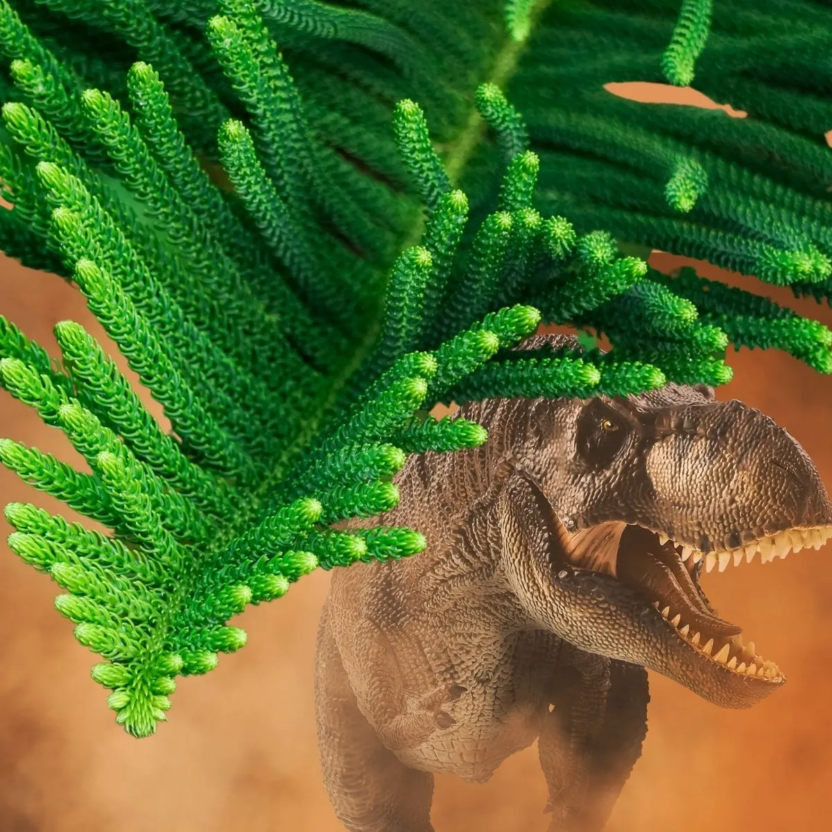 The Prehistoric Pyramidal Pine