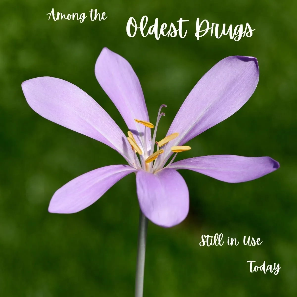 Among the Oldest Drugs Still in Use Today