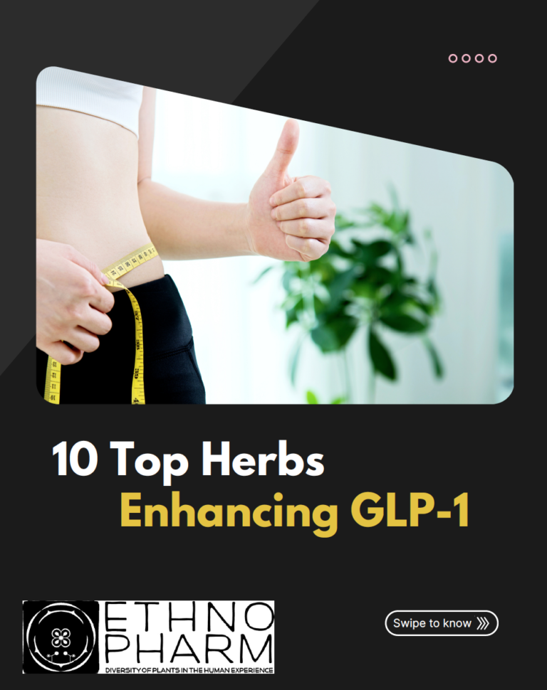 10 Top Herbs Enhancing GLP-1 Secretion: - EthnoPharm - Enhancing Glp-1 Secretions Naturally